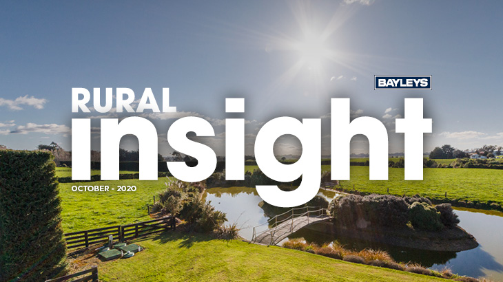 Lifestyle blocks link town and country.