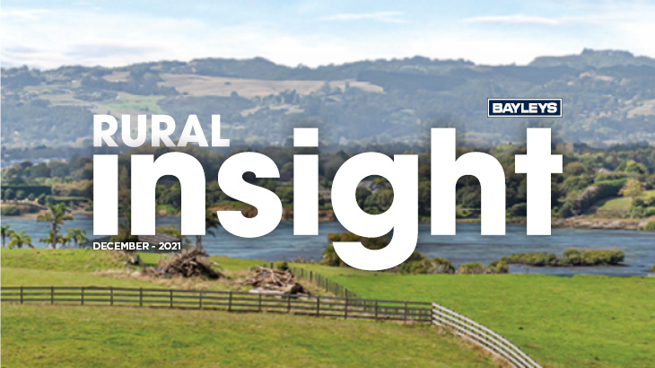 Lifestyle block – buy or build?.