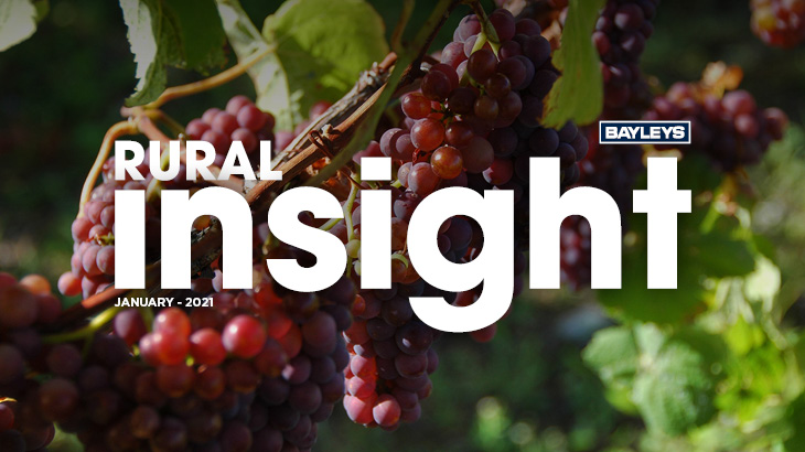 Wine’s appeal goes beyond romantic vineyard.