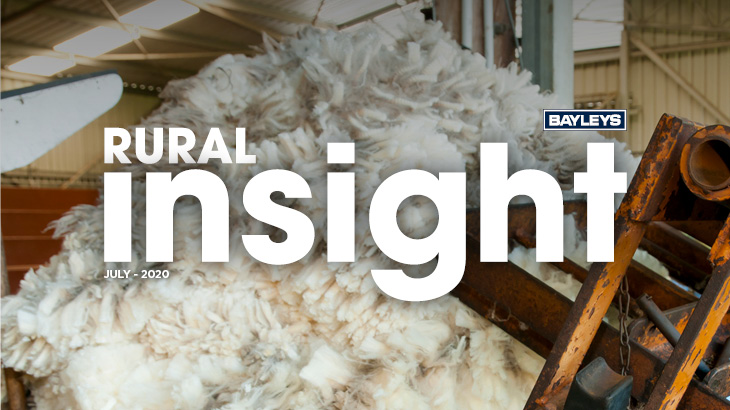 Hopes high for wool’s future.