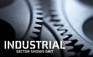 Industrial sector shows grit