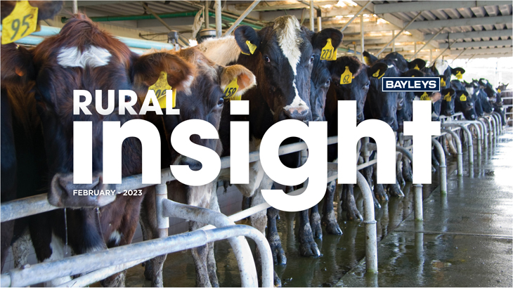 Dairy prospects under seasonal spotlight