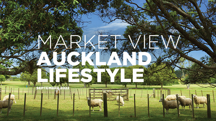 Market View - Auckland lifestyle