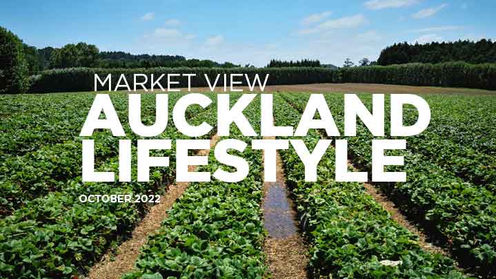 Market View - Auckland lifestyle